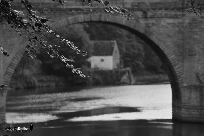 Pink House Pink House