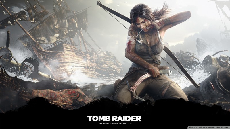 Tomb Raider 2013 Survivor